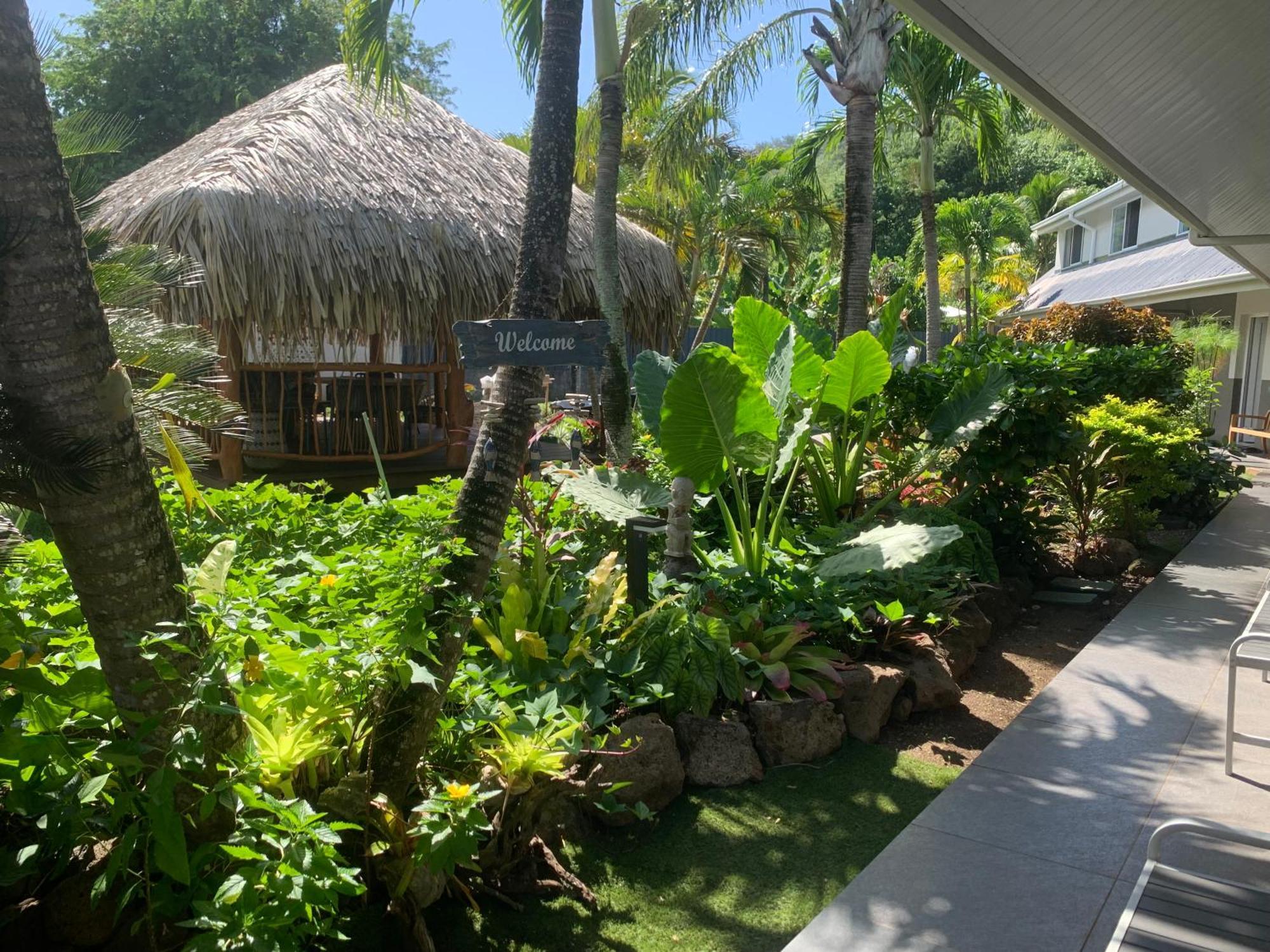 Tiki Ora - Fetia